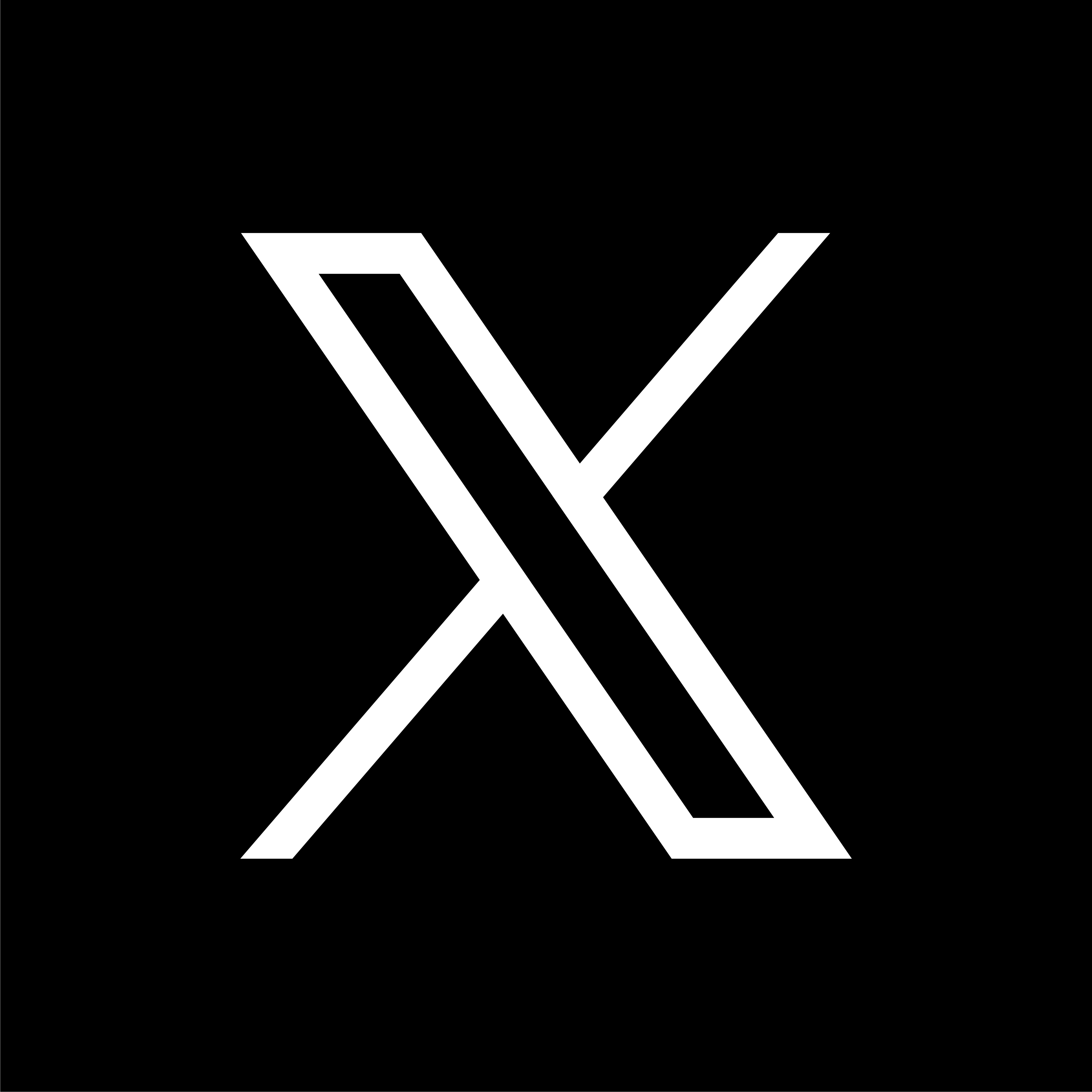 Logo x-logo